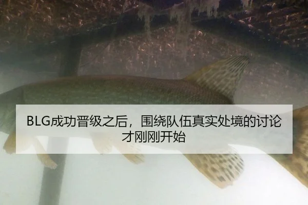 cheng-gong-jin-ji-zhi-hou-wei-rao-dui-wu-zhen-shi-chu-jing-de-tao-lun-cai-gang-gang-kai-shi-2-267.jpg